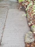 image of grave number 445737